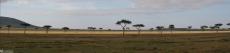 2007-04-14 - Kenya - Massai Mara Panorama 2007-04-14 - Kenya - Massai Mara Panorama